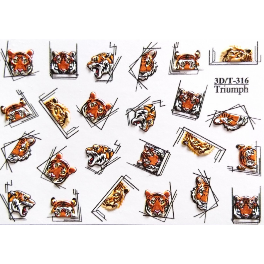 3D-316